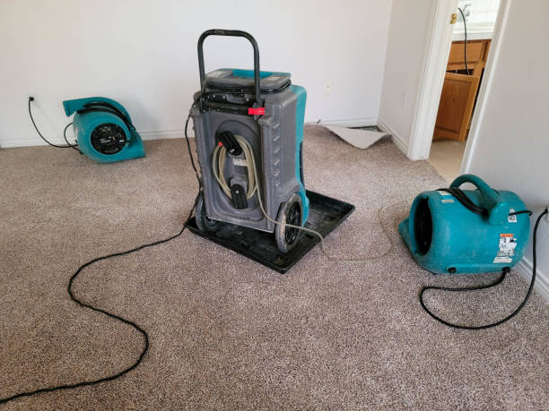 Best Local water damage restoration  in Olivette, MO