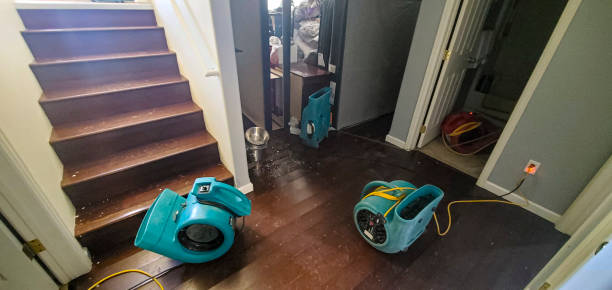 Best Carpet water damage restoration  in Olivette, MO
