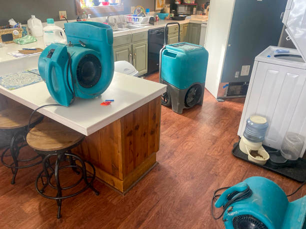 Best Water damage contractors near me  in Olivette, MO