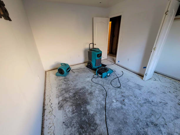 Best Sewage cleanup and water damage restoration  in Olivette, MO