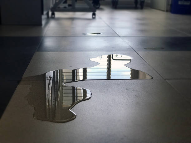 Best Local water damage restoration  in Olivette, MO
