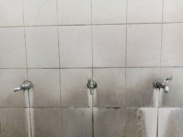 Best Residential water damage restoration  in Olivette, MO