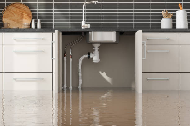 Best Flood restoration services  in Olivette, MO