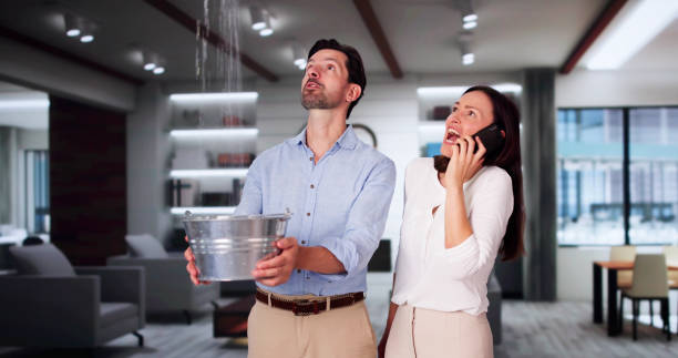 Best 24/7 water damage repair  in Olivette, MO