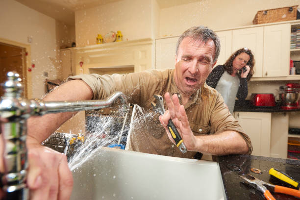 Best Mold removal after water damage  in Olivette, MO